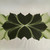 Hosta Leaf Placemat - Pine Frost, intricate green and black leaf pattern by Carole Shiber Designs. Hosta Leaf Placemat - Pine Frost, intricate green and black leaf pattern by Carole Shiber Designs.