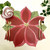 Poinsettia Placemat Carole Shiber Designs, a festive holiday placemat featuring a large red poinsettia flower with green leaves, decorated with gold cutlery and a white napkin with a red border, and a small greenery sprig in the corner.