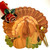 Carole Shiber Designs The Gratitude Turkey  