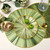 Round Leaf Placemat, Sage