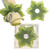  Hosta Leaf Napkin Ring Pine Frost - S/4 