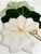 Susy's Custom Assortment 8 Carole Shiber Designs, decorative fabric leaves in white, black, and light green colors arranged in a layered pattern with gold accents and a gold spoon and knife on top.