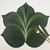 Carole Shiber Designs 5 Point Fountain Leaf - Pine with Frost 