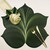 Carole Shiber Designs 5 Point Fountain Leaf - Pine with Frost 