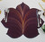 7 Point Leaf - Eggplant/Gold & Bronze Carole Shiber Designs, a decorative table placemat resembling a stylized leaf in deep eggplant, gold, and bronze colors, paired with silver cutlery.