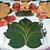 7 Point Leaf - Pine/Gold & Bronze Carole Shiber Designs, decorative floral placemat resembling a large green leaf with detailed veining, used as a table centerpiece alongside floral napkin rings and wine glasses.