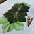 Interlocking 4-Leaf Combo Placemat Set Carole Shiber Designs, vibrant green and dark green tropical leaf-themed placemats arranged on a white table with gold cutlery.