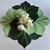 Interlocking 4-Leaf Combo Placemat Set Carole Shiber Designs, green and black tropical leaf design with decorative white silk flowers.