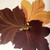 Jeweltone Maple Leaf Placemats, decorative placemat designed in the shape of a colorful maple leaf with warm autumn tones of brown, orange, and gold.