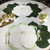 Buttercup Placemat - White/Gold, a beautiful white and gold floral designed placemat by Carole Shiber Designs, decorated with green leaves and cream-colored roses.
