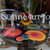 Cosmic Color Dots! Set of 4 Carole Shiber Designs, display of colorful paper art arrangement on a black marble table in a shop window.