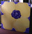 Carole Shiber Designs Popping Poppy Yellow and Periwinkle