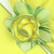Carole Shiber Designs Yellow with HoneyDew Trim