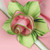 Light Pink with HoneyDew Trim Napkin Carole Shiber Designs, decorative napkin with pink and green honeydew trimmed flower design.