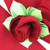 Red with Red Trim Napkin Carole Shiber Designs, a folded red napkin with a red trim, placed on a table with green embroidered leaves for decorative presentation.