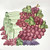 4 Vineyard + Double Grapes Set by Carole Shiber Designs, illustrated paper art featuring grape clusters, wine bottles, and grape leaves in vibrant colors.