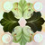 Carole Shiber Designs 5-Pc Leaves and Magnolia Set