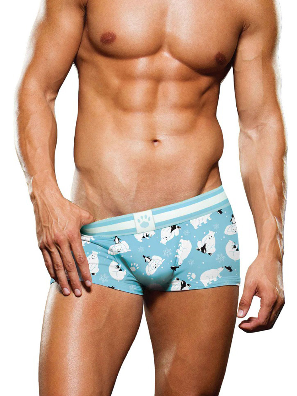 Animal Men's Boxer Briefs Underwear