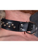 Rouge Studded Leather Collar With Large D Ring Black or Red For Bondage BDSM Slave ABDL
