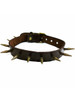 Brown Rouge Leather Spiked Bondage Slave Collar BDSM With One Inch Spiky Spikes Slave 