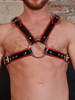 Rouge Mens Leather Chest Harness With Buckle Fastening Bondage BDSM Slave and Master