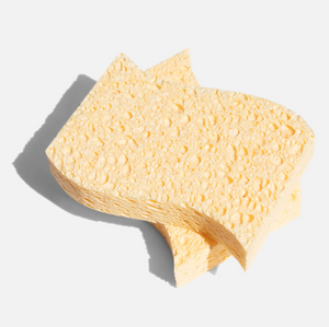 Eco friendly Sponge