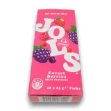 Jols Forest Berries Sugar Free Pastilles 18 x 23g display box, pink carton showing assorted berry graphics.