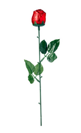 Famous Makers - Milk Chocolate Rose Cylinder (Display unit | 24 x 18g pcs)