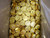 Chocolate Gems - Medallions - Gold, by Chocolate Gems,  and more Confectionery at The Professors Online Lolly Shop. (Image Number :17664)