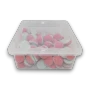 Gummini Jelly Filled Raspberry Bombs 1kg tub displaying pink and white gummy sweets with jelly centres, available at The Professors Online Lolly Shop.