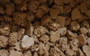 Milk Choc Coconut Rough pieces in bulk with rustic texture and coconut flakes, available at The Professors Online Lolly Shop.