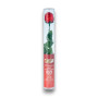Lolliland Milk Chocolate Rose Cylinder 18g novelty chocolate rose in clear display tube with green stem, available at The Professors Online Lolly Shop.