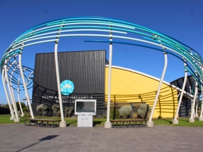 dolphin-discovery-centre-bunbury.jpg