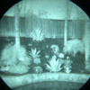 Through the tube view demonstrating the image clarity of the RVM-14 Gen III 2376+ FOM white phosphor intensifier