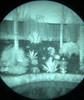 Through the tube view demonstrating the low-light clarity of the Talon Gen III 2376+ FOM white phosphor image intensifier