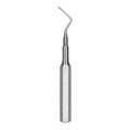 Root Tip Pick West Apical #6  (EW66)