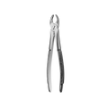 1 Serrated Upper Anteriors Extraction Forceps