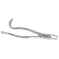 House Brand, forcep-18R