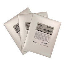 Lanex Replacement Screen Regular 8 in x 10 in Lanex Replacement Screen Regular 8 in x 10 in