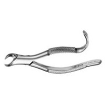 Extracting Forceps Lower Molars Cowhorn Pedo  (F16S) Extracting Forceps Lower Molars Cowhorn Pedo  (F16S)