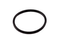 Gasket for Filter Housing, 3/4"