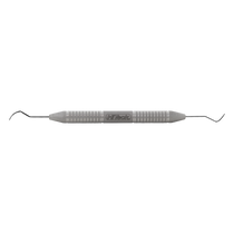2R/2L Explorer 2R/2L Explorer