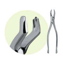 Premier, Forceps 53R, 9065016