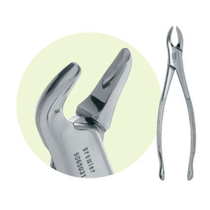 Premier, Forceps 151 - Serrated, 9065077