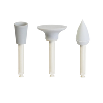 Pac-Dent, iGlo Silicon Polisher Combo Kit: 10 x cups, 10 x discs and 10 x points, PG-01