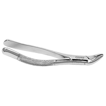 House Brand, forcep-151A House Brand, forcep-151A