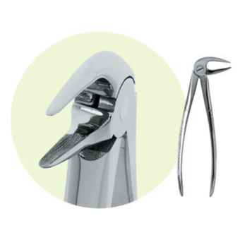 Premier, Forceps LRG, 9065044