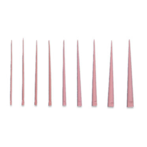 Premier, PTS Gutta Percha Box Fine, 9056104