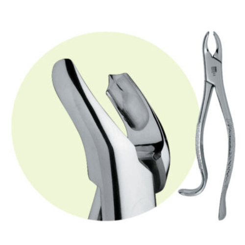 Premier, Forceps 18R, 9065010