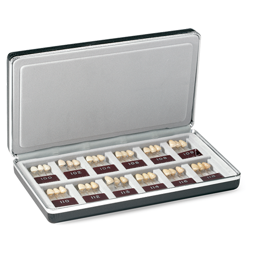 Dentsply, 90151